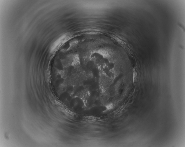 X0000099430339200805231658