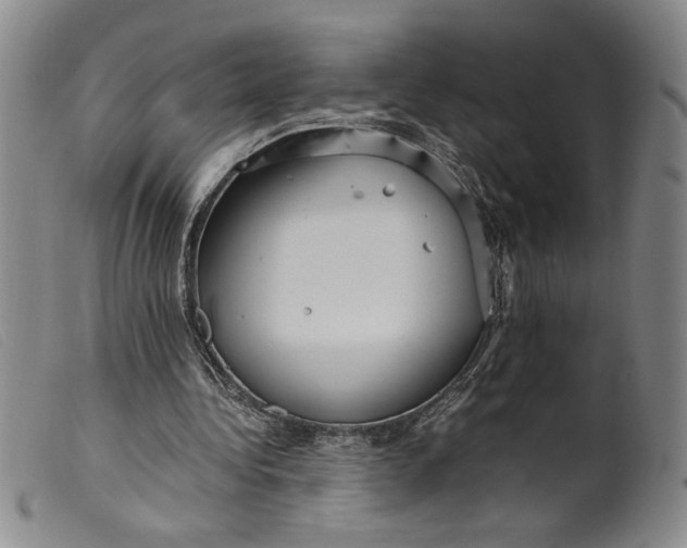 X0000099430340200805231658