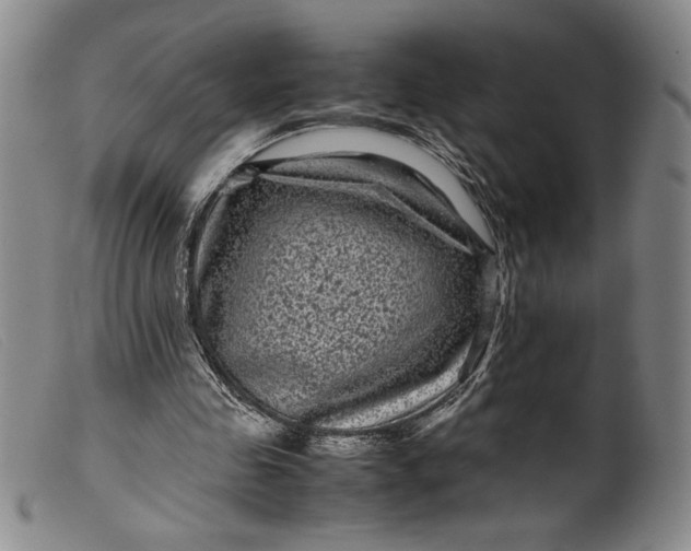 X0000099430341200805231658