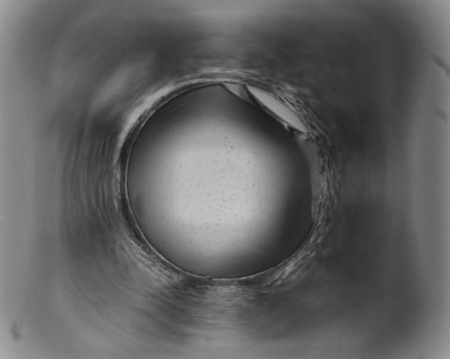 X0000099430342200805231658