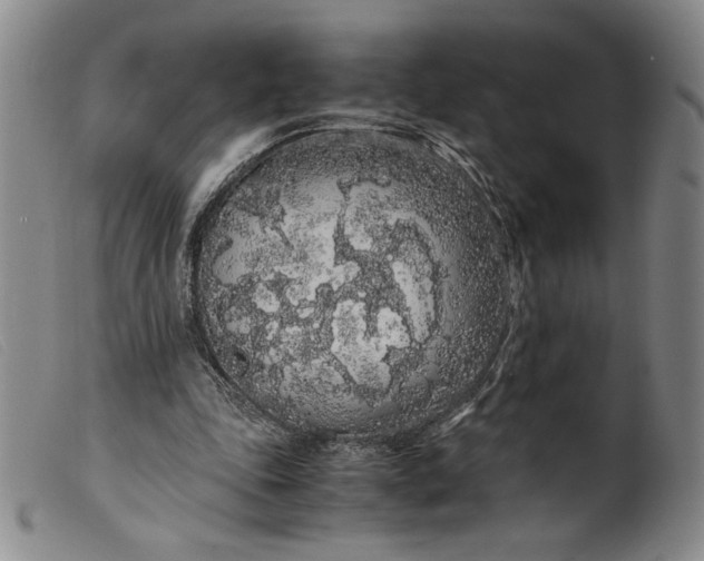 X0000099430343200805231658