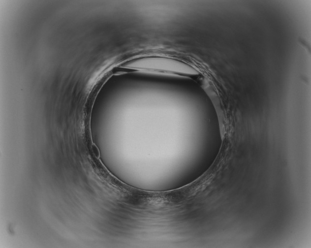 X0000099430344200805231658