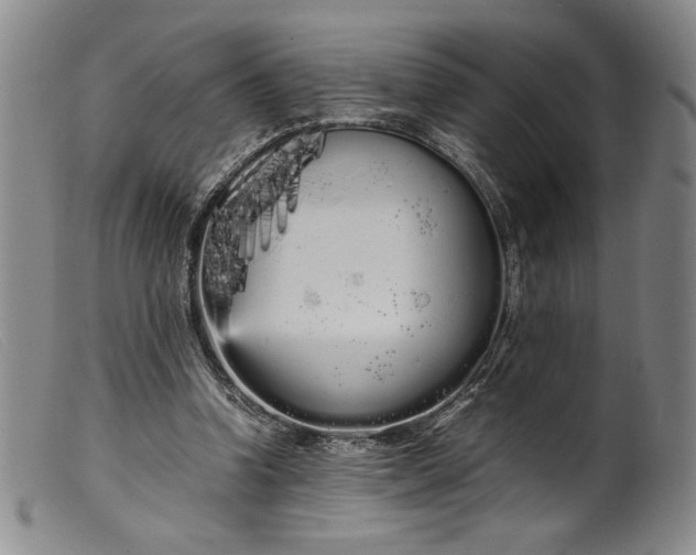 X0000099430346200805231658