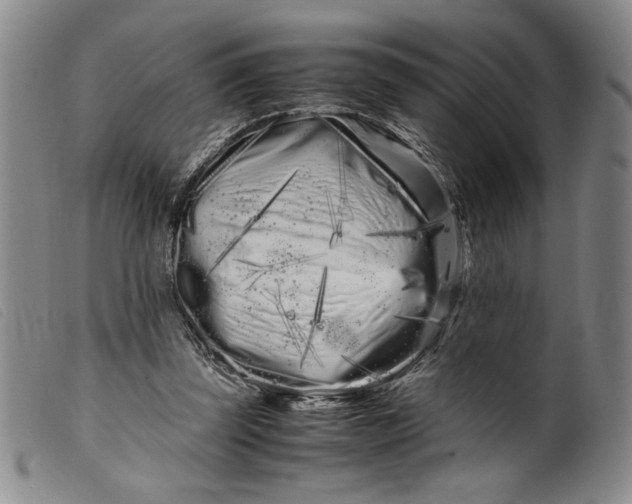 X0000099430347200805231658