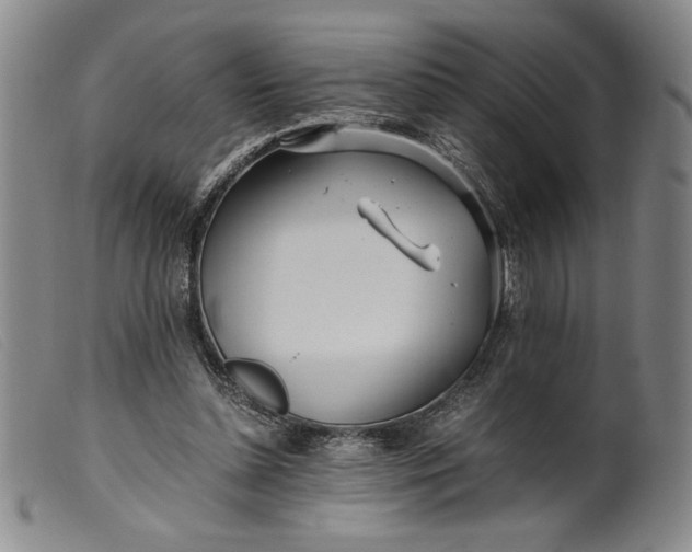 X0000099430348200805231658