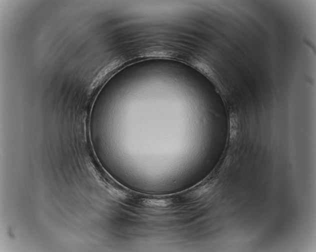 X0000099430349200805231658