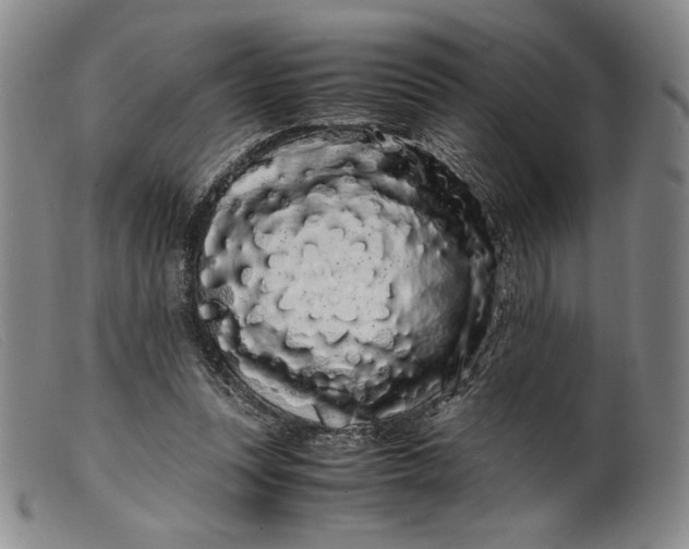 X0000099430351200805231658