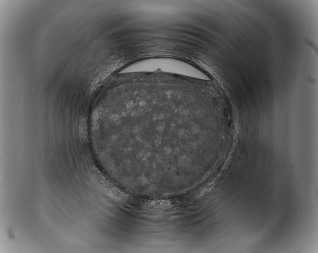 X0000099430353200805231659