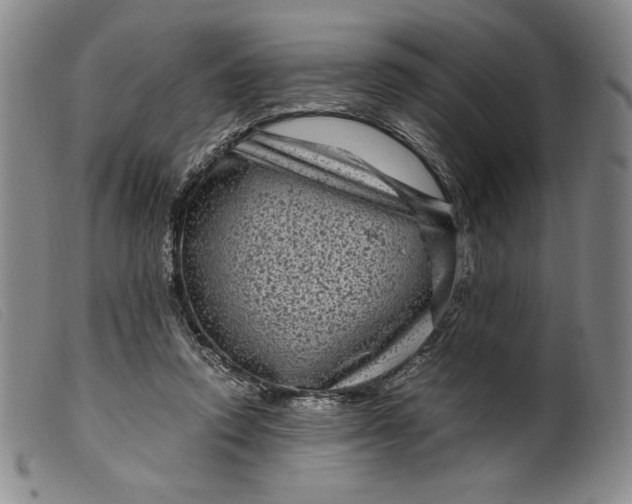 X0000099430354200805231659
