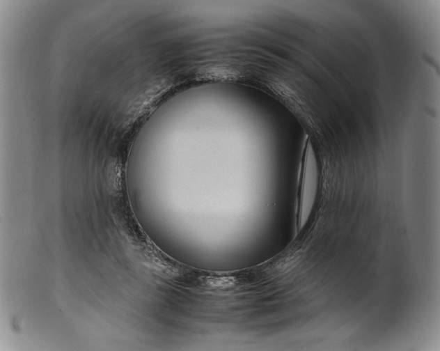 X0000099430355200805231659
