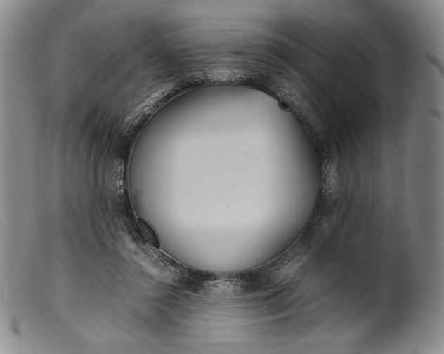 X0000099430356200805231659