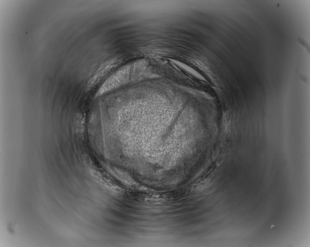 X0000099430357200805231659
