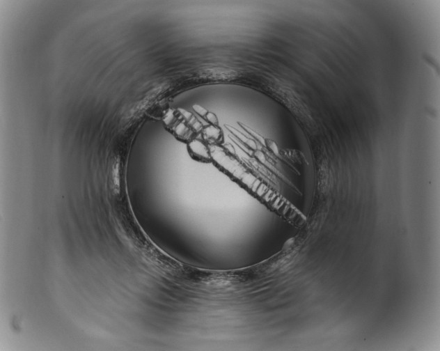 X0000099430358200805231659
