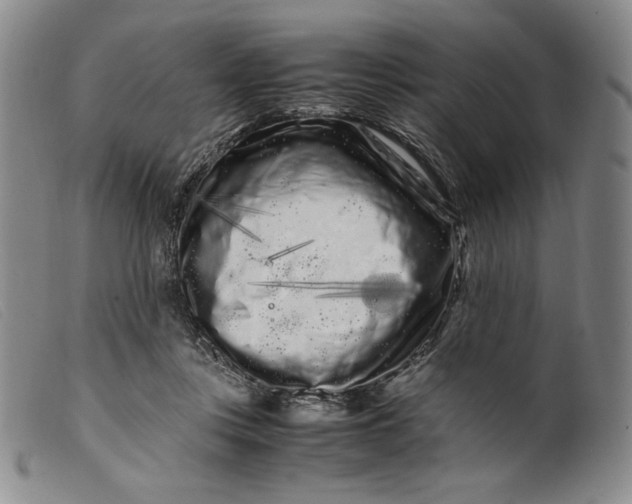 X0000099430359200805231659