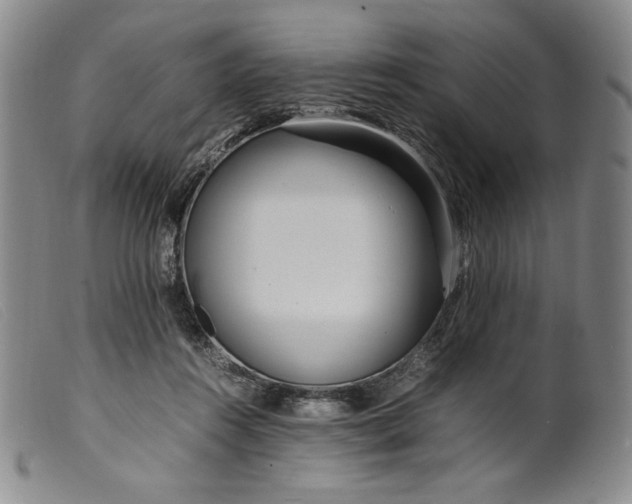 X0000099430360200805231659