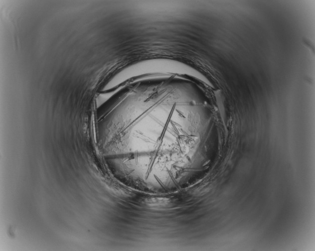 X0000099430361200805231659