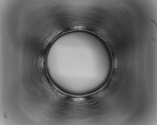 X0000099430363200805231659