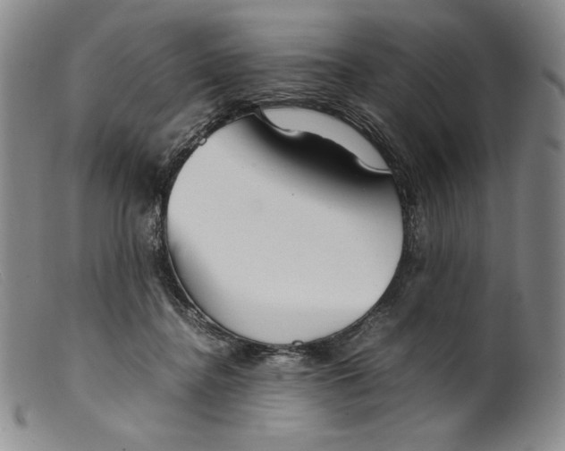 X0000099430364200805231659