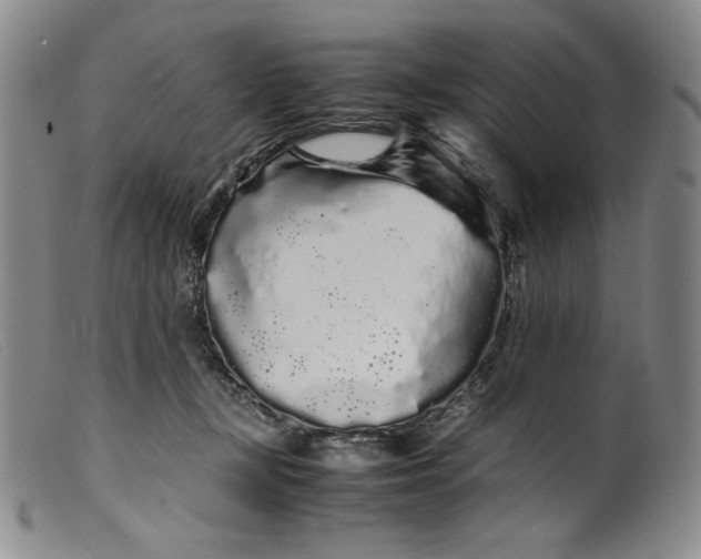 X0000099430367200805231659