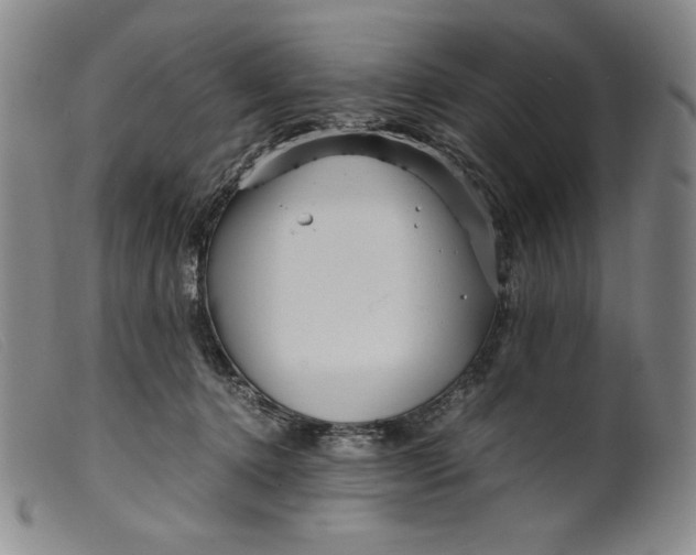 X0000099430368200805231659