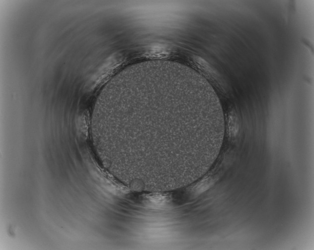 X0000099430370200805231659