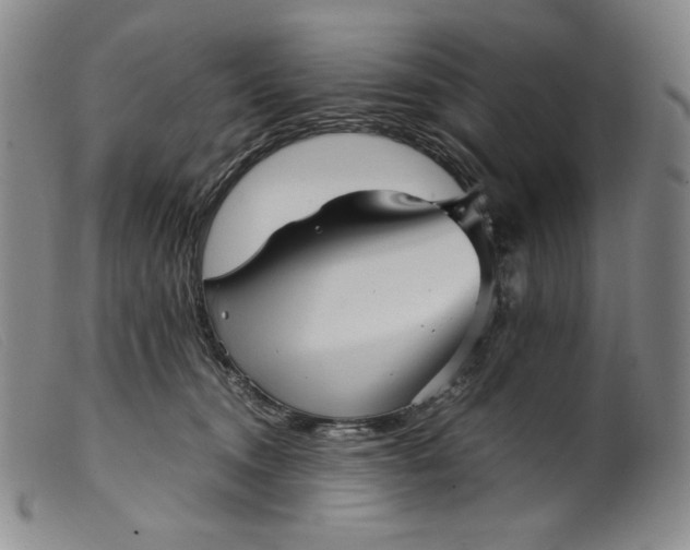 X0000099430372200805231659