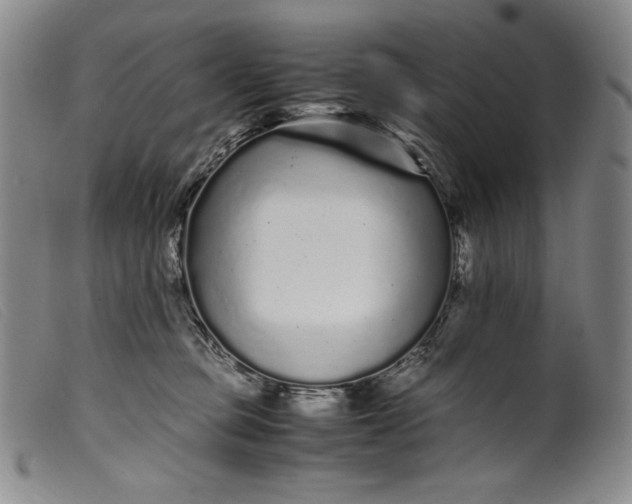 X0000099430373200805231659
