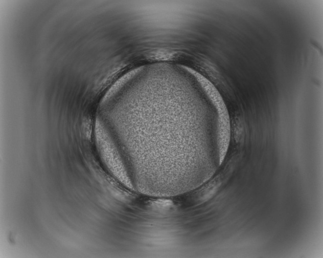 X0000099430374200805231659