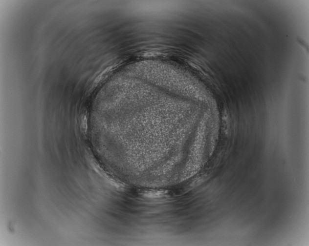 X0000099430375200805231659