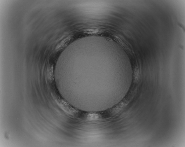 X0000099430376200805231659