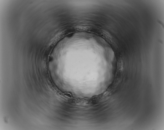 X0000099430377200805231659