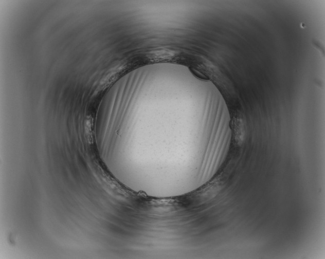 X0000099430378200805231659
