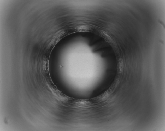 X0000099430379200805231659