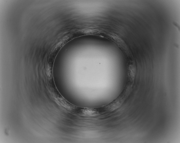 X0000099430380200805231659