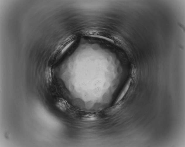 X0000099430381200805231659