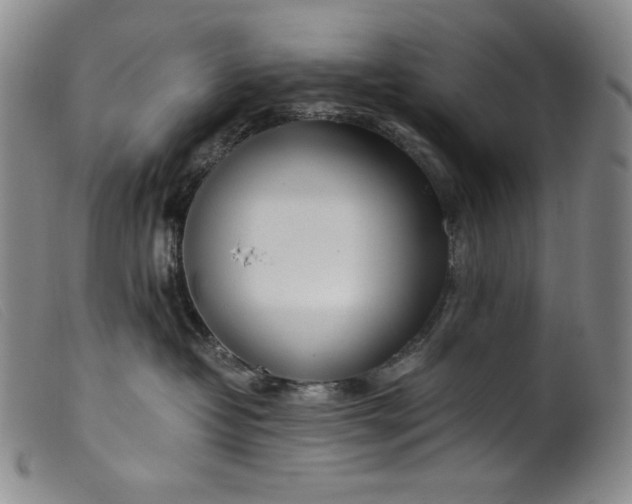 X0000099430382200805231659