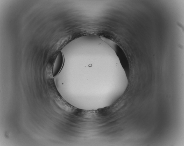 X0000099430384200805231659