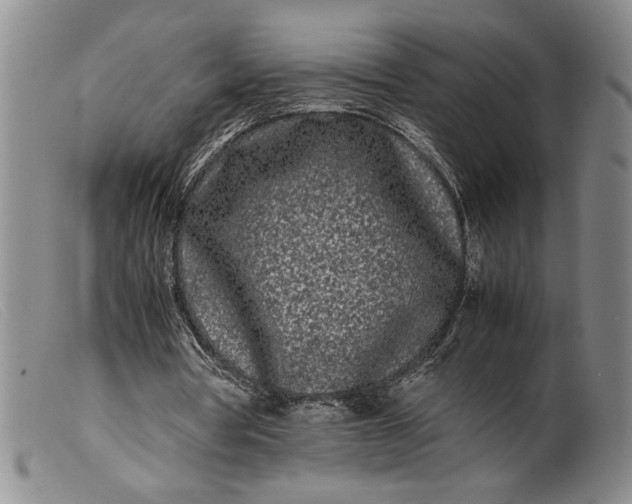 X0000099430386200805231658