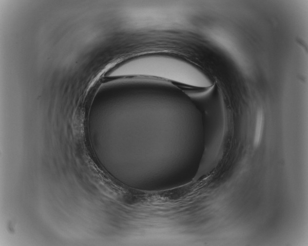 X0000099430387200805231658