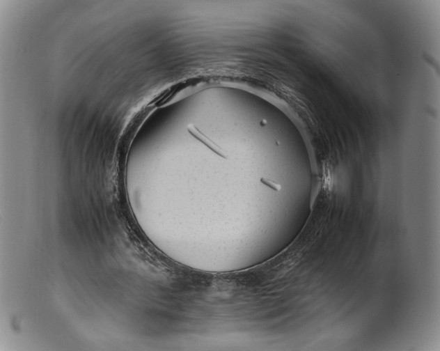 X0000099430388200805231658
