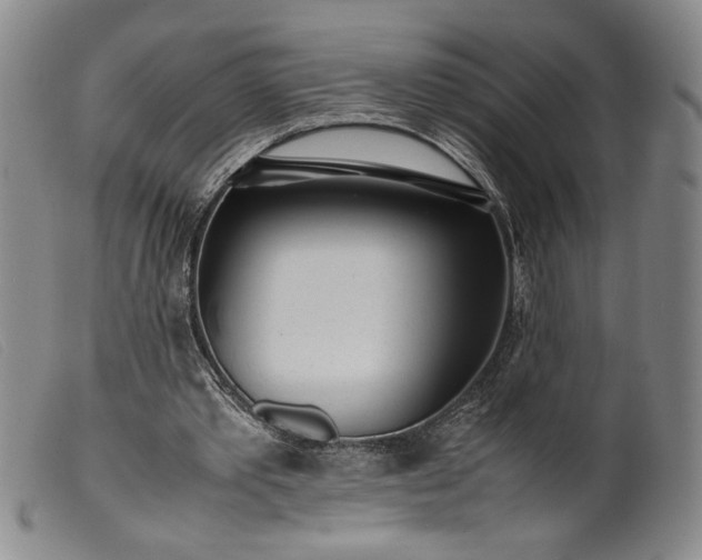 X0000099430389200805231658