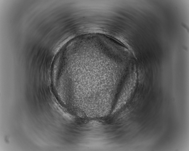 X0000099430390200805231658