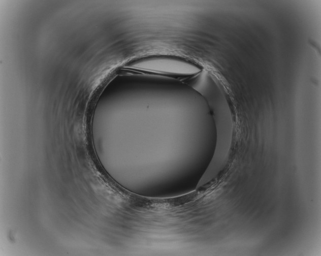 X0000099430391200805231658