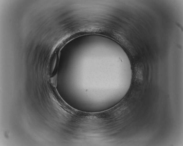 X0000099430392200805231658
