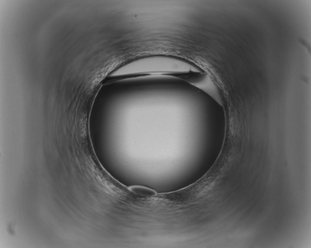 X0000099430393200805231658