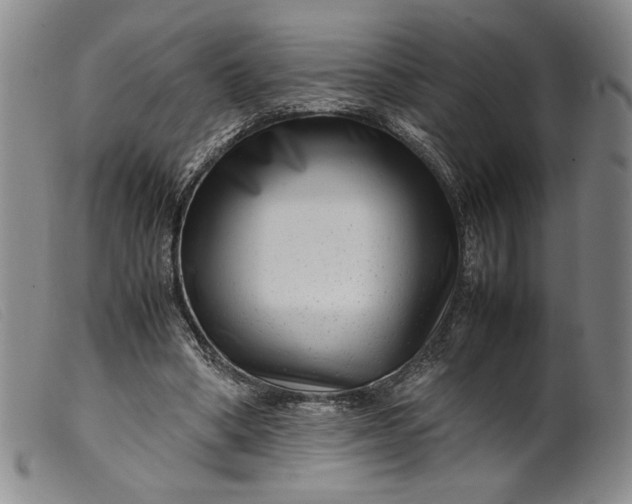 X0000099430394200805231658