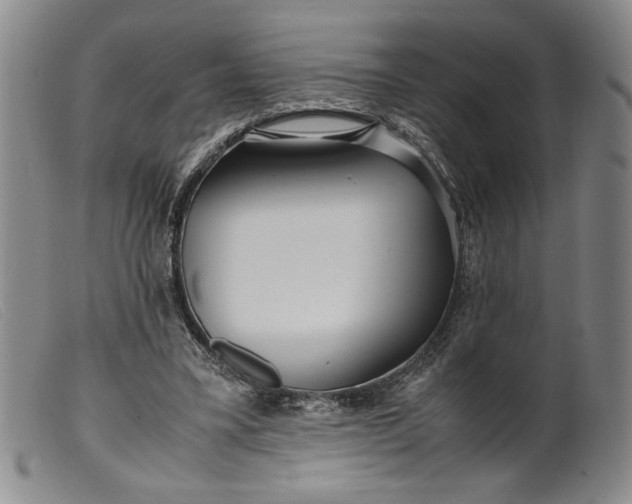 X0000099430395200805231658