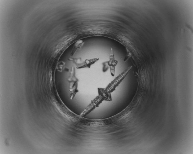 X0000099430398200805231658