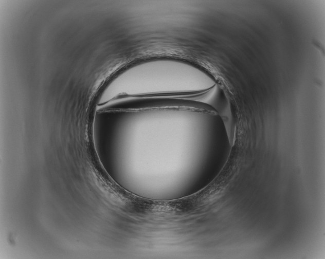 X0000099430399200805231658