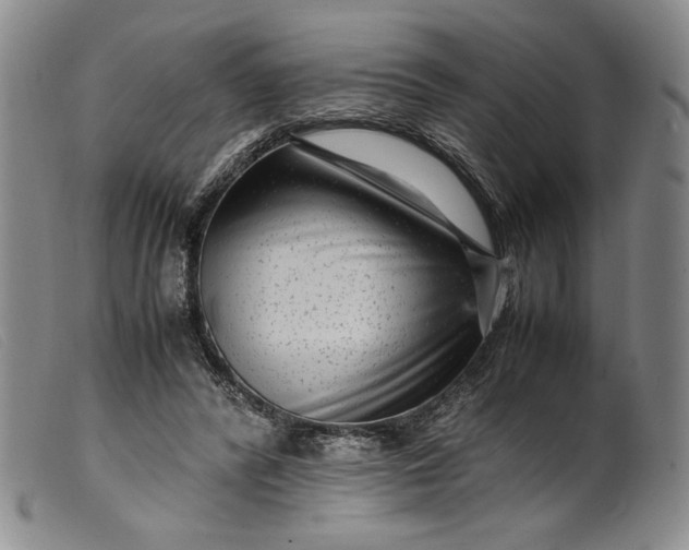 X0000099430400200805231658